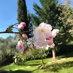 Romaine&spa à Casa de Férias Uzès